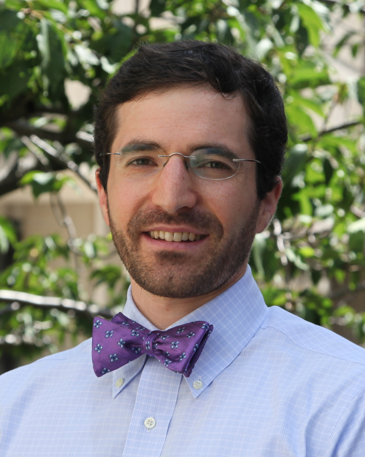 DAVID LEVINE, MD, MPH, MA